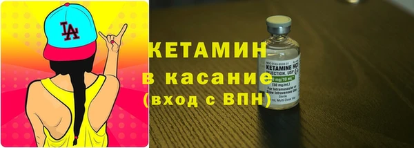 шишки Аркадак