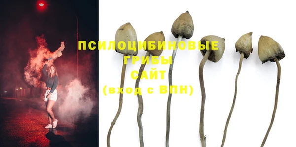 а пвп мука Армянск