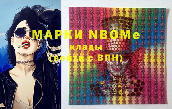 шишки Аркадак