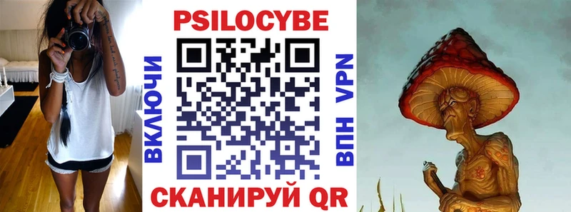 Псилоцибиновые грибы Psilocybe Певек
